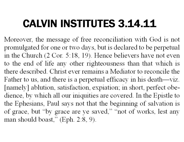 CALVIN 31411