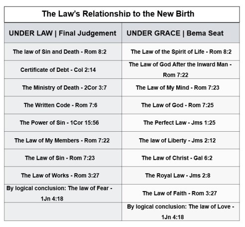 Law and New Birth Chart Final