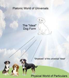 plato-dog-form