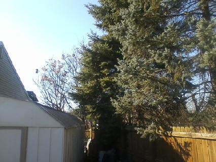 downsized_1201171259