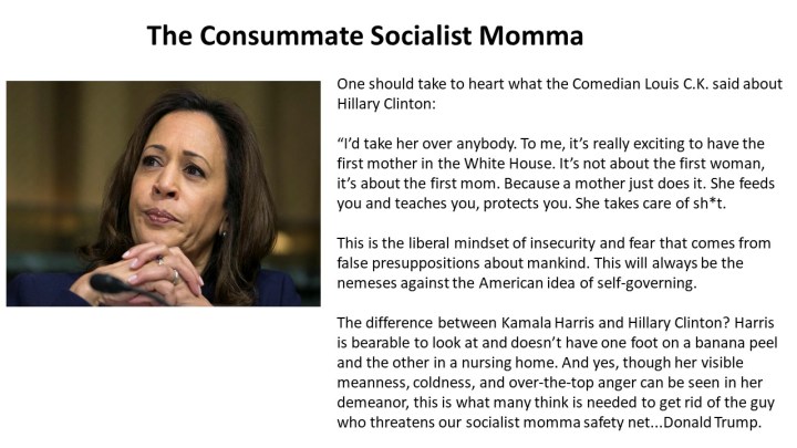 Socialist Momma