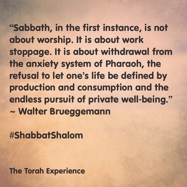 52893706_10215908056512368_1572801703646855168_n